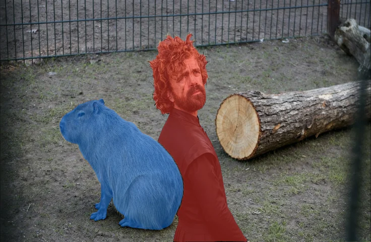 Target image with region 1 on the capybara and region 2 on the man
